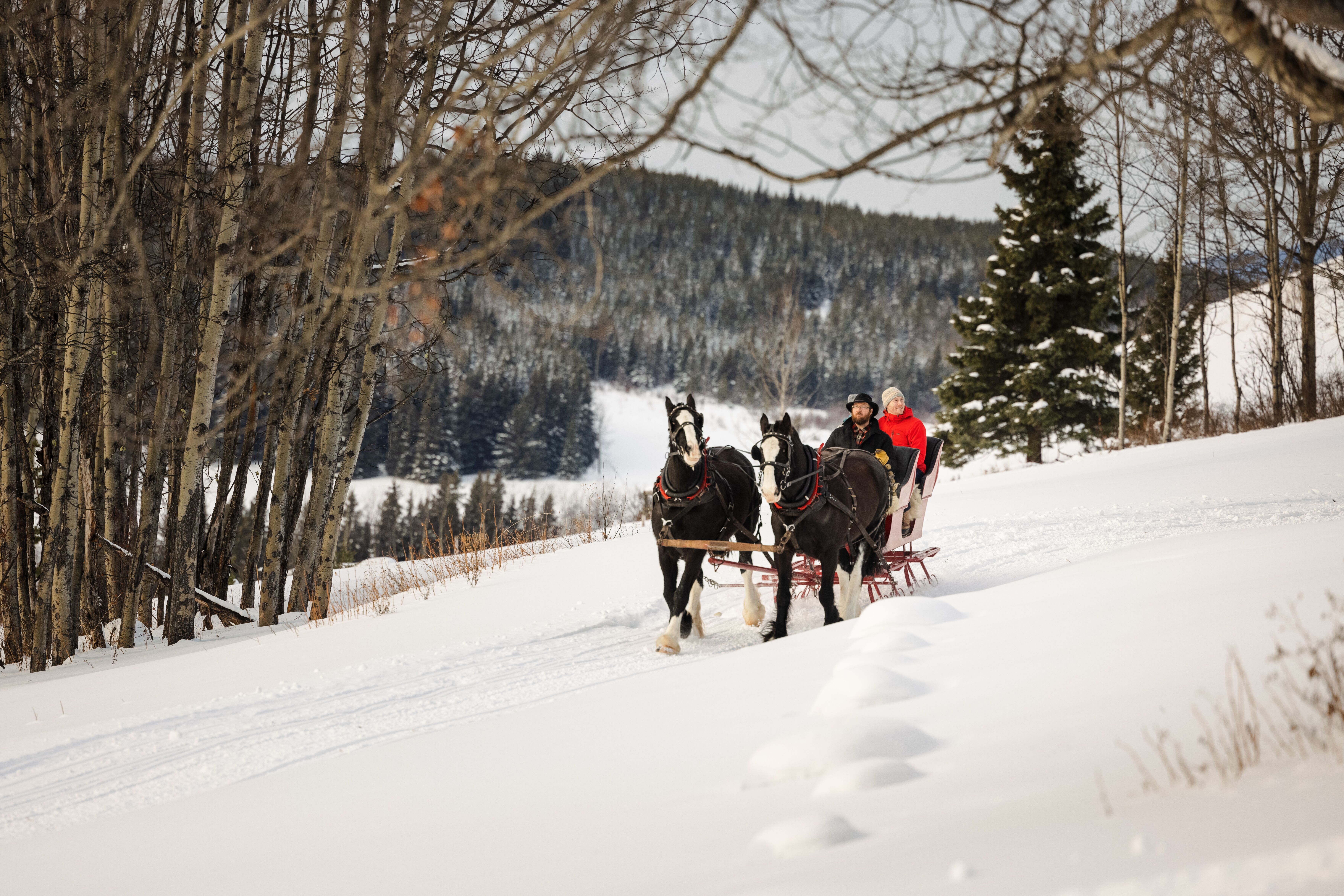 Beyond the Slopes: Relaxing Winter Activities in Northwest BC